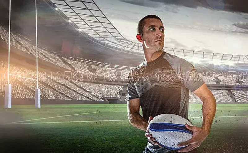 熊猫体育app下载华扬联众山东足球运动员徐飞：职业生涯、个人资料及荣誉履历