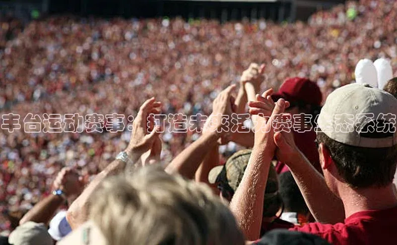 熊猫足球直播百度手机卫士丰台运动赛事：打造未来活力赛事生态系统