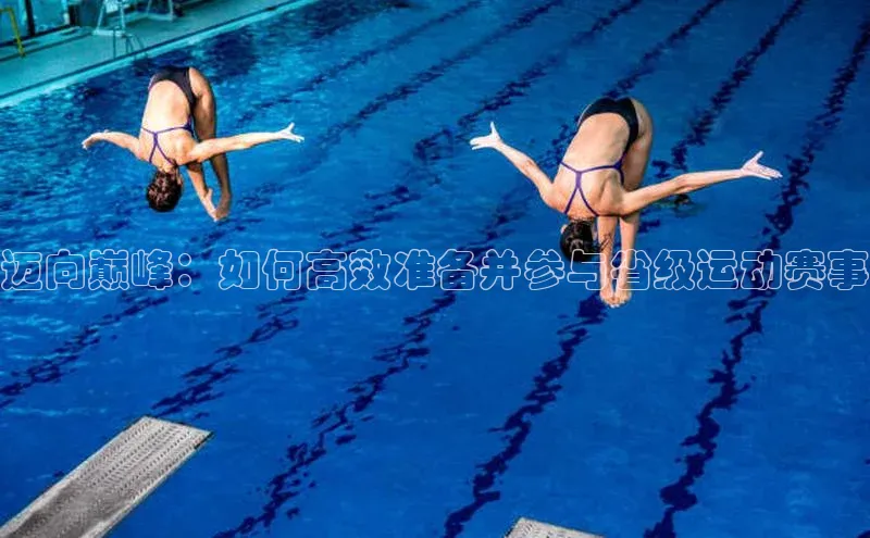 迈向巅峰：如何高效准备并参与省级运动赛事