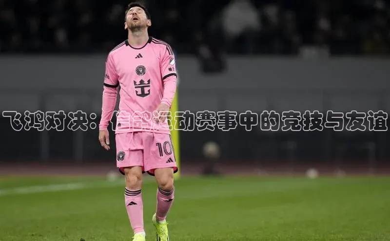 飞鸿对决：信鸽运动赛事中的竞技与友谊