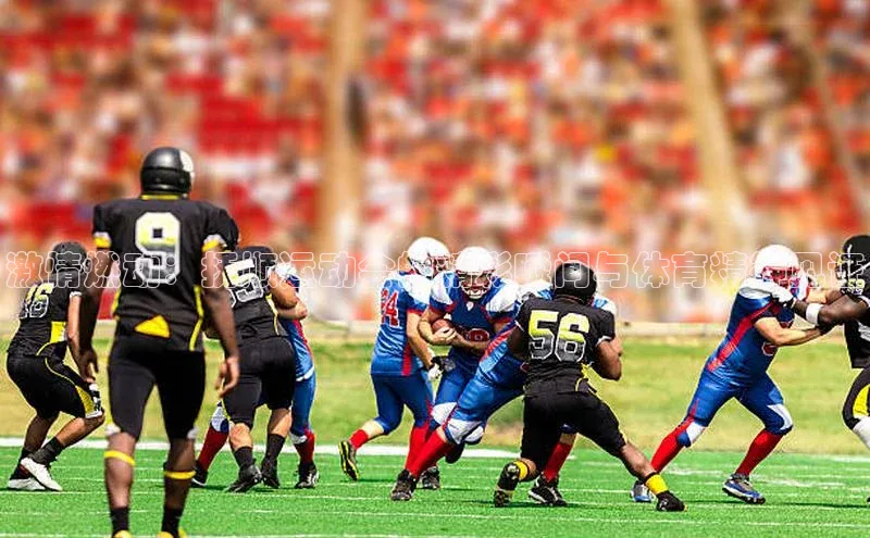 激情燃动：抚顺运动会的精彩瞬间与体育精神见证