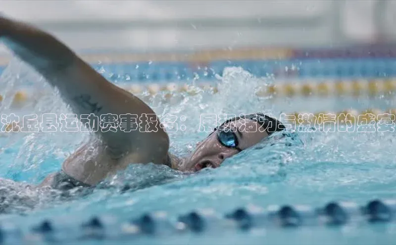 沈丘县运动赛事报名：展现活力与激情的盛宴