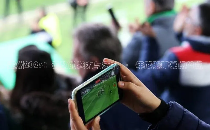 定州2023：运动的魅力与活力——年度赛事亮点盘点