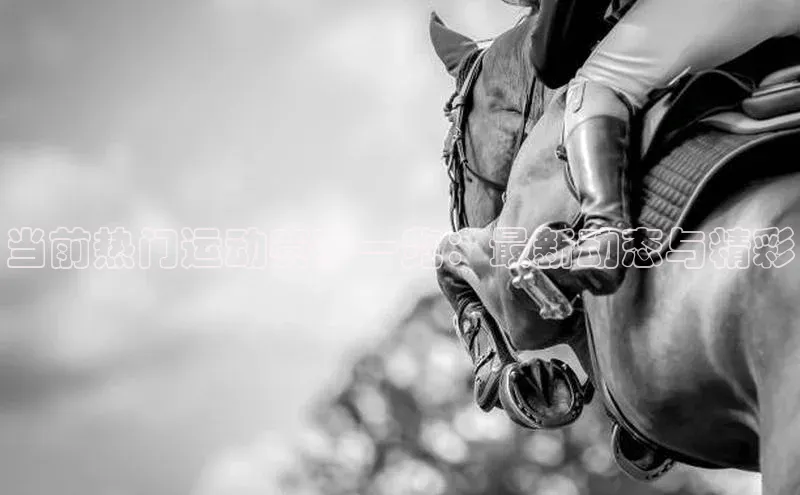 当前热门运动赛事一览：最新动态与精彩