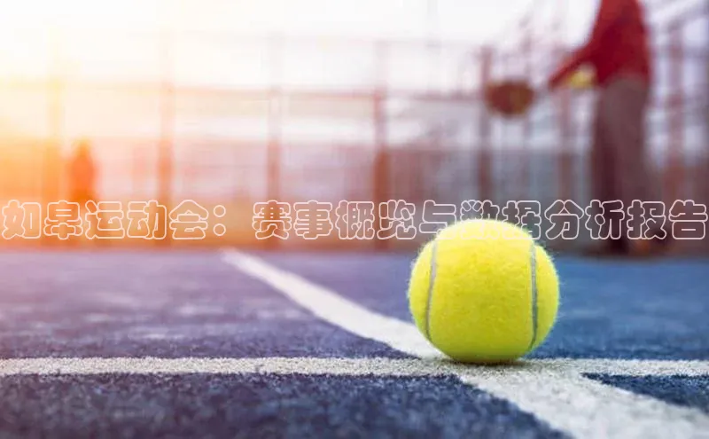 如皋运动会：赛事概览与数据分析报告
