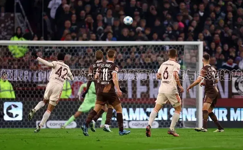 极限：中国极限运动权威赛事的深度与未来趋势