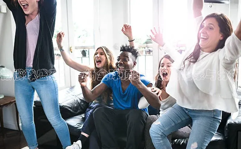 橄榄球盛宴：一场全球顶尖对决的记录与分析