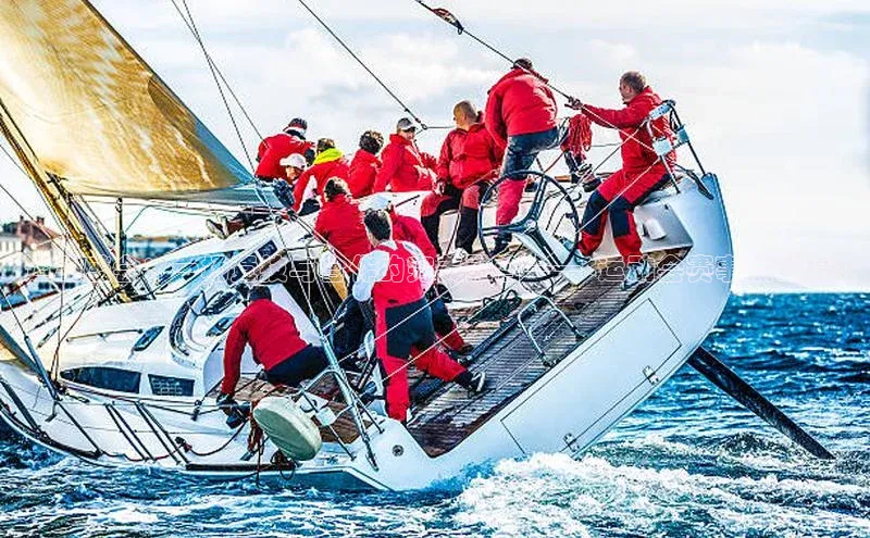 运动盛会：一场竞技与合作的完美融合——<运动会赛事点评稿>