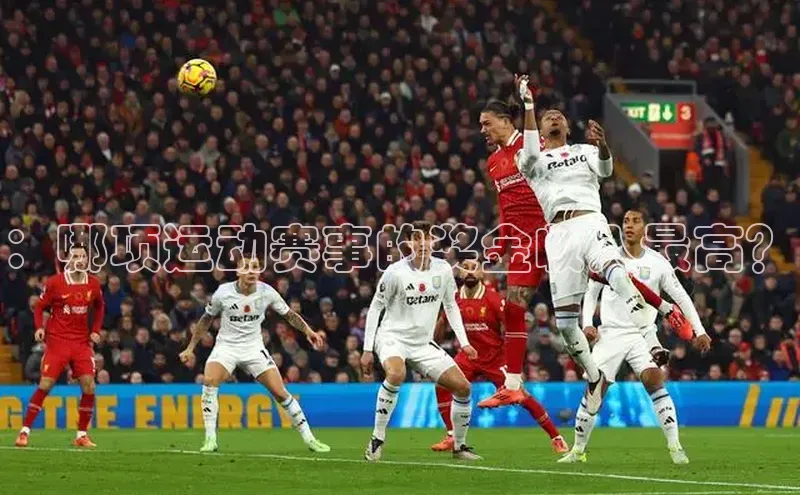 熊猫体育网页版