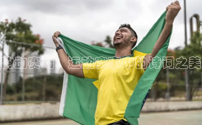 熊猫体育在线观看平台