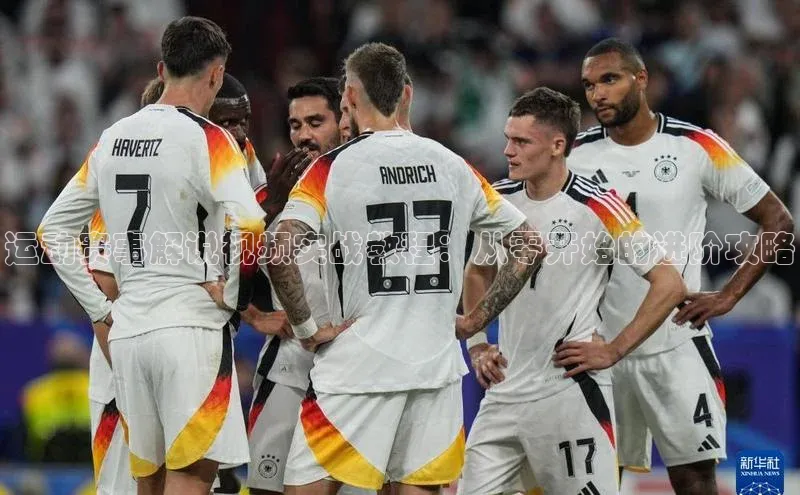 熊猫体育在线直播app