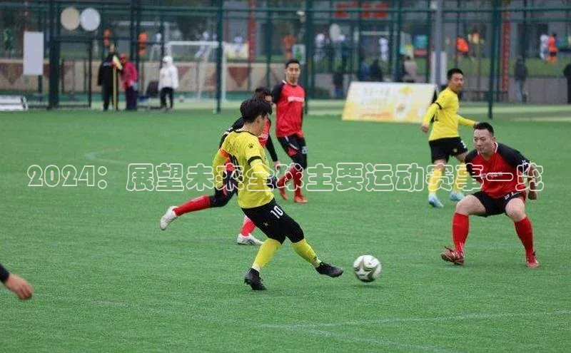 2024：展望未来全球主要运动赛事一览