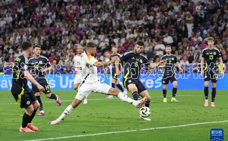 爱运动：最热门的赛事排行榜